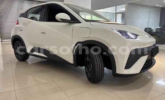 Buy Used BYD Dolphin White Car in Roma in Maseru