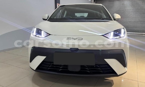 Buy Used BYD Dolphin White Car in Roma in Maseru Buy Used BYD Dolphin White Car in Roma in Maseru