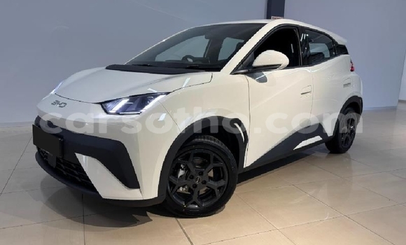 Buy Used BYD Dolphin White Car in Roma in Maseru Buy Used BYD Dolphin White Car in Roma in Maseru