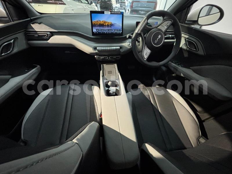 Big with watermark byd dolphin maseru roma 31867