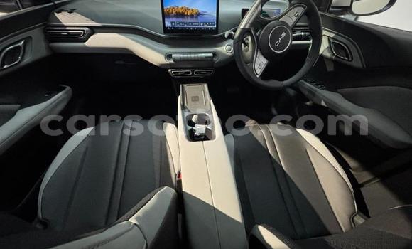 Buy Used BYD Dolphin White Car in Roma in Maseru Buy Used BYD Dolphin White Car in Roma in Maseru