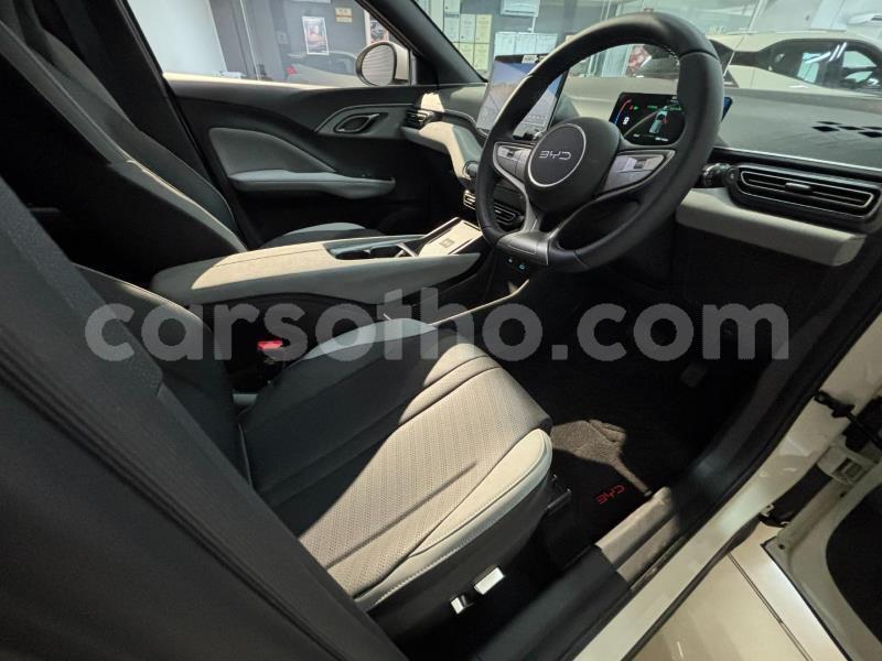 Big with watermark byd dolphin maseru roma 31867