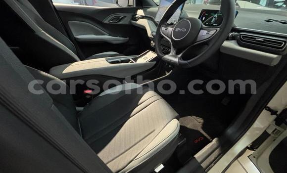 Buy Used BYD Dolphin White Car in Roma in Maseru Buy Used BYD Dolphin White Car in Roma in Maseru