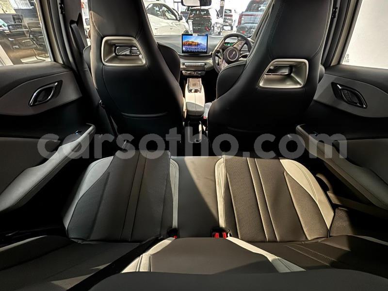 Big with watermark byd dolphin maseru roma 31867