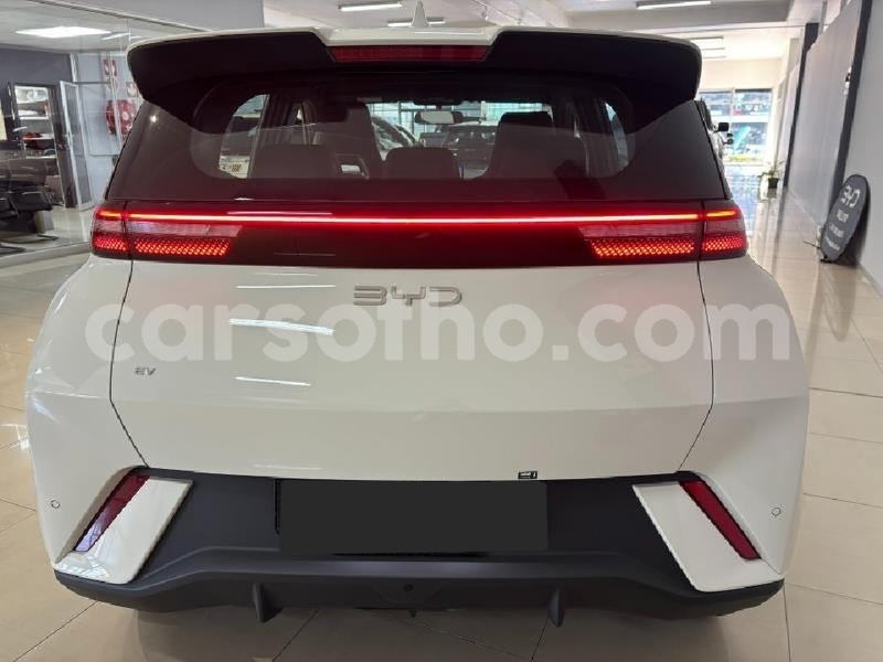 Big with watermark byd dolphin maseru roma 31867