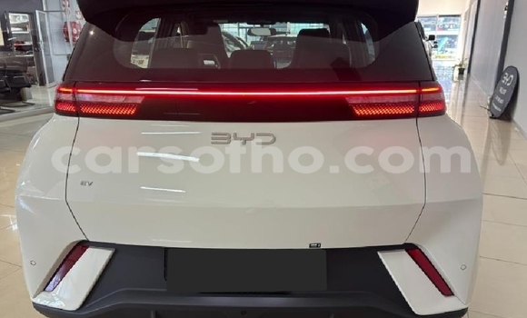 Buy Used BYD Dolphin White Car in Roma in Maseru Buy Used BYD Dolphin White Car in Roma in Maseru