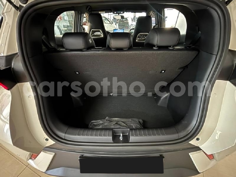 Big with watermark byd dolphin maseru roma 31867