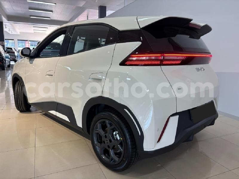 Big with watermark byd dolphin maseru roma 31867