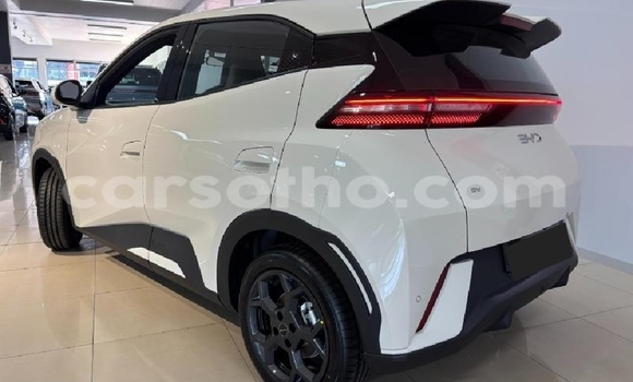 Buy Used BYD Dolphin White Car in Roma in Maseru Buy Used BYD Dolphin White Car in Roma in Maseru