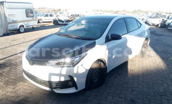 Buy Used Toyota Corolla White Car in Mafeteng in Mafeteng
