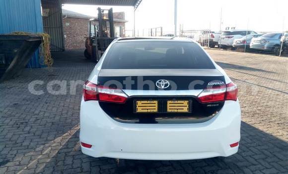 Acheter Occasion Voiture Toyota Corolla Blanc à Mafeteng, Mafeteng Acheter Occasion Voiture Toyota Corolla Blanc à Mafeteng, Mafeteng