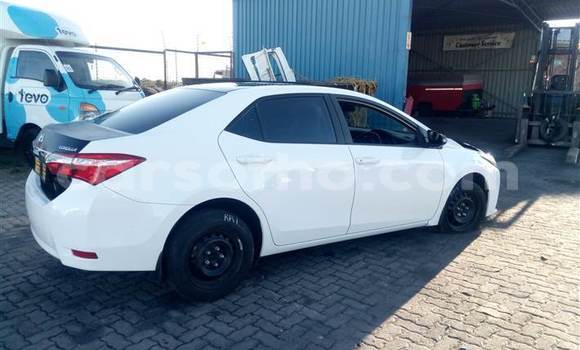 Acheter Occasion Voiture Toyota Corolla Blanc à Mafeteng, Mafeteng Acheter Occasion Voiture Toyota Corolla Blanc à Mafeteng, Mafeteng