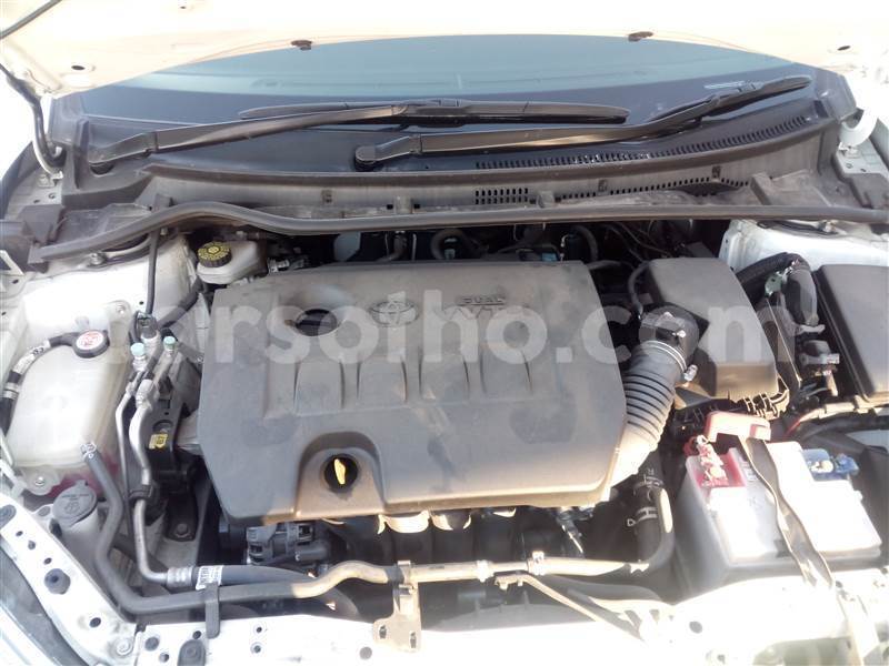 Big with watermark toyota corolla mafeteng mafeteng 31882