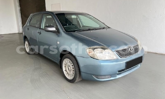 Buy Used Toyota Runx Blue Car in Thaba–Tseka in Mafeteng
