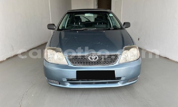 Buy Used Toyota Runx Blue Car in Thaba–Tseka in Mafeteng Buy Used Toyota Runx Blue Car in Thaba–Tseka in Mafeteng