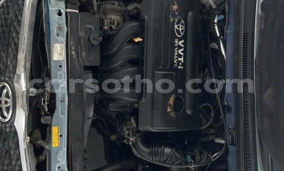 Buy Used Toyota Runx Blue Car in Thaba–Tseka in Mafeteng Buy Used Toyota Runx Blue Car in Thaba–Tseka in Mafeteng