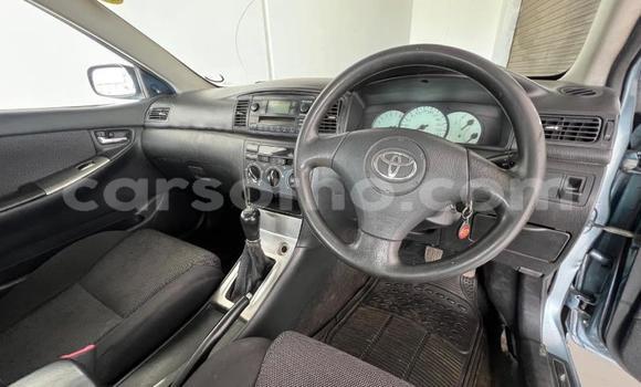 Buy Used Toyota Runx Blue Car in Thaba–Tseka in Mafeteng Buy Used Toyota Runx Blue Car in Thaba–Tseka in Mafeteng