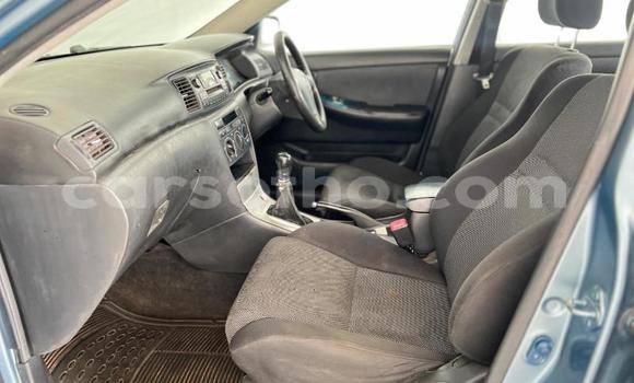 Buy Used Toyota Runx Blue Car in Thaba–Tseka in Mafeteng Buy Used Toyota Runx Blue Car in Thaba–Tseka in Mafeteng