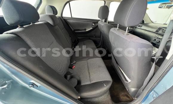Buy Used Toyota Runx Blue Car in Thaba–Tseka in Mafeteng Buy Used Toyota Runx Blue Car in Thaba–Tseka in Mafeteng