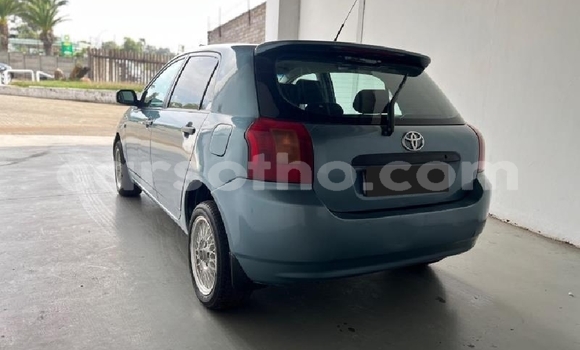 Buy Used Toyota Runx Blue Car in Thaba–Tseka in Mafeteng Buy Used Toyota Runx Blue Car in Thaba–Tseka in Mafeteng
