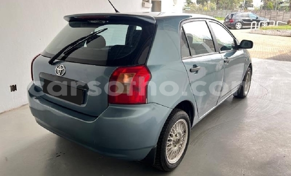 Buy Used Toyota Runx Blue Car in Thaba–Tseka in Mafeteng Buy Used Toyota Runx Blue Car in Thaba–Tseka in Mafeteng
