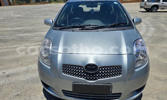 Buy Used Toyota Yaris Blue Car in Thaba–Tseka in Mafeteng Buy Used Toyota Yaris Blue Car in Thaba–Tseka in Mafeteng