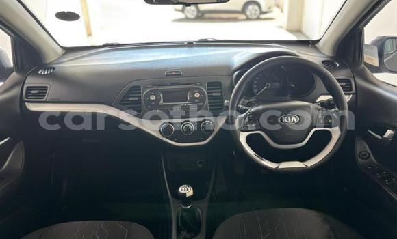 Buy Used Kia Picanto Silver Car in Quthing in Butha-Buthe Buy Used Kia Picanto Silver Car in Quthing in Butha-Buthe