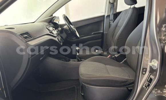 Buy Used Kia Picanto Silver Car in Quthing in Butha-Buthe Buy Used Kia Picanto Silver Car in Quthing in Butha-Buthe