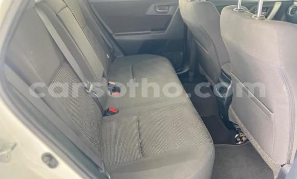 Buy Used Toyota Auris White Car in Qacha's Nek in Quthing Buy Used Toyota Auris White Car in Qacha's Nek in Quthing