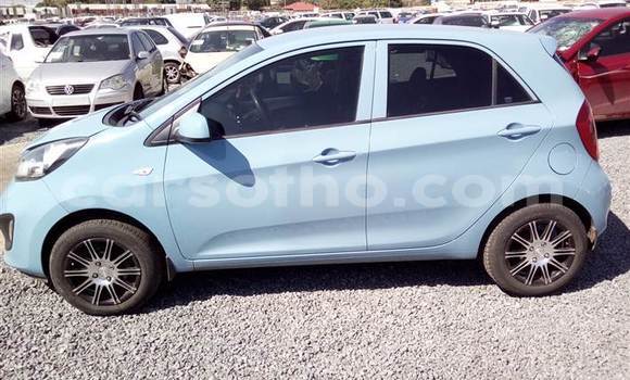 Acheter Occasion Voiture Kia Picanto Bleu à Maseru, Maseru