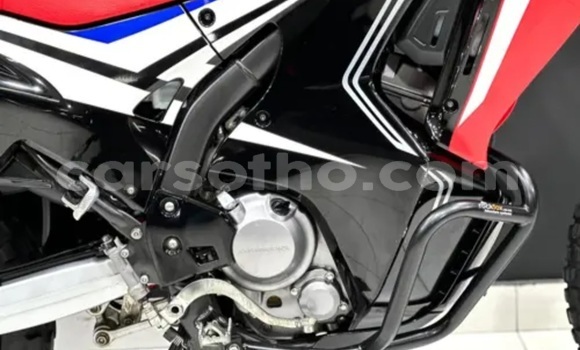 Buy Used Honda CR250R Red Bike in Maputsoa in Leribe Buy Used Honda CR250R Red Bike in Maputsoa in Leribe