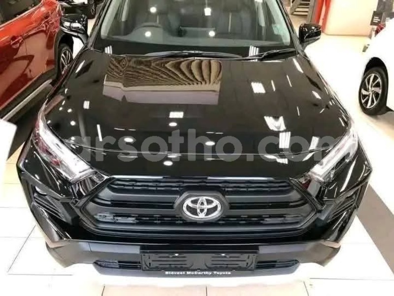 Big with watermark toyota rav4 leribe peka 31908