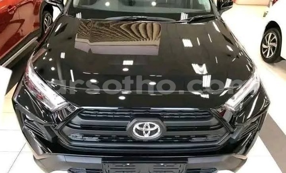 Buy Used Toyota RAV4 Black Car in Peka in Leribe Buy Used Toyota RAV4 Black Car in Peka in Leribe