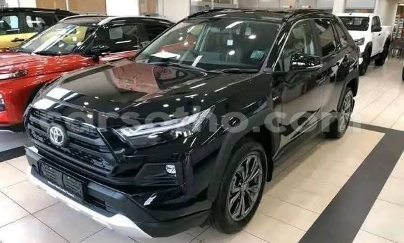Buy Used Toyota RAV4 Black Car in Peka in Leribe Buy Used Toyota RAV4 Black Car in Peka in Leribe
