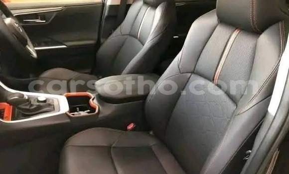 Buy Used Toyota RAV4 Black Car in Peka in Leribe Buy Used Toyota RAV4 Black Car in Peka in Leribe