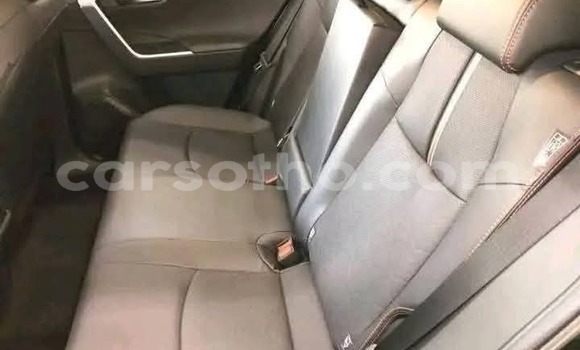 Buy Used Toyota RAV4 Black Car in Peka in Leribe Buy Used Toyota RAV4 Black Car in Peka in Leribe