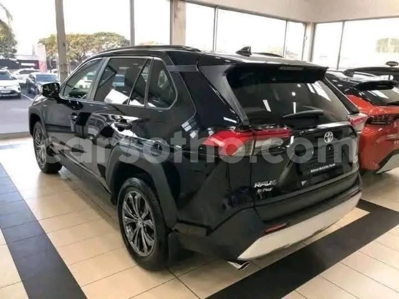 Big with watermark toyota rav4 leribe peka 31908