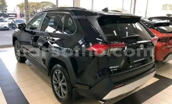 Buy Used Toyota RAV4 Black Car in Peka in Leribe Buy Used Toyota RAV4 Black Car in Peka in Leribe