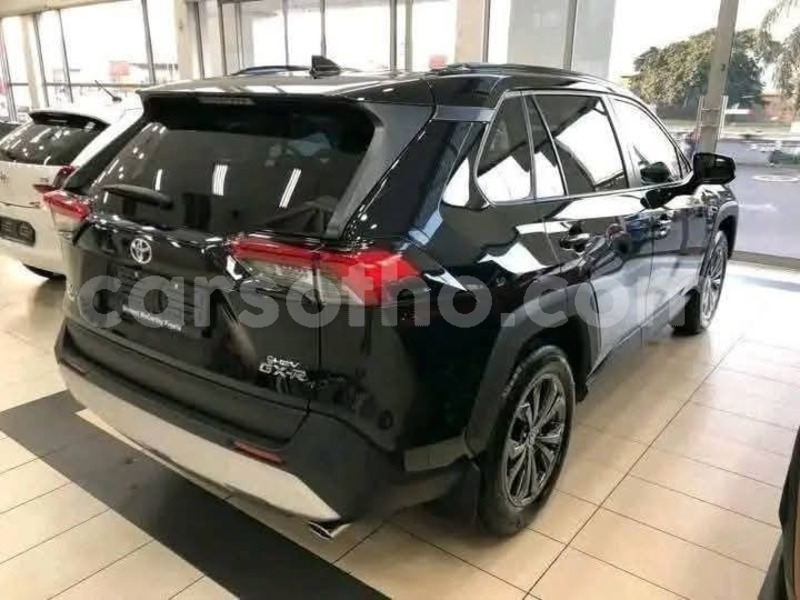 Big with watermark toyota rav4 leribe peka 31908