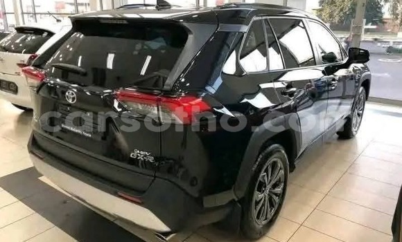 Buy Used Toyota RAV4 Black Car in Peka in Leribe Buy Used Toyota RAV4 Black Car in Peka in Leribe