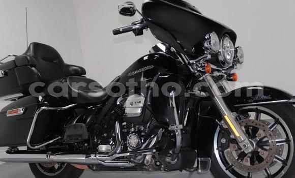 Buy Used Harley Davidson Ultra Black Bike in Thaba–Tseka in Mafeteng