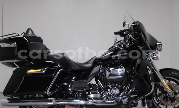 Buy Used Harley Davidson Ultra Black Bike in Thaba–Tseka in Mafeteng Buy Used Harley Davidson Ultra Black Bike in Thaba–Tseka in Mafeteng