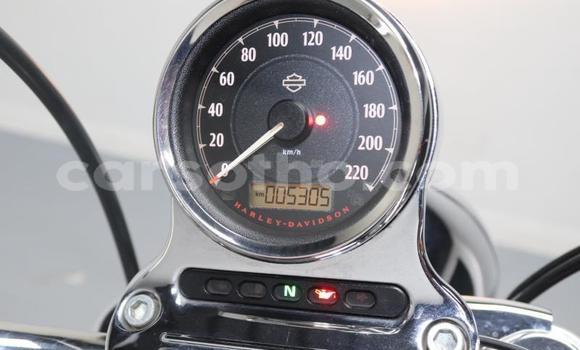 Buy Used Harley Davidson Sportster Brown Bike in Roma in Maseru Buy Used Harley Davidson Sportster Brown Bike in Roma in Maseru