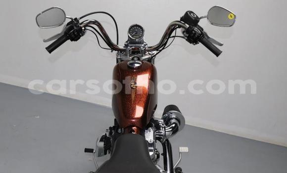 Buy Used Harley Davidson Sportster Brown Bike in Roma in Maseru Buy Used Harley Davidson Sportster Brown Bike in Roma in Maseru