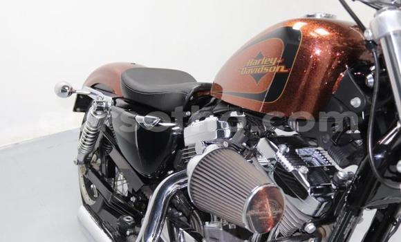 Buy Used Harley Davidson Sportster Brown Bike in Roma in Maseru Buy Used Harley Davidson Sportster Brown Bike in Roma in Maseru