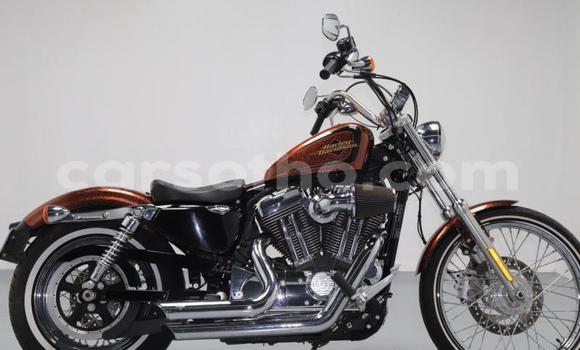 Buy Used Harley Davidson Sportster Brown Bike in Roma in Maseru Buy Used Harley Davidson Sportster Brown Bike in Roma in Maseru