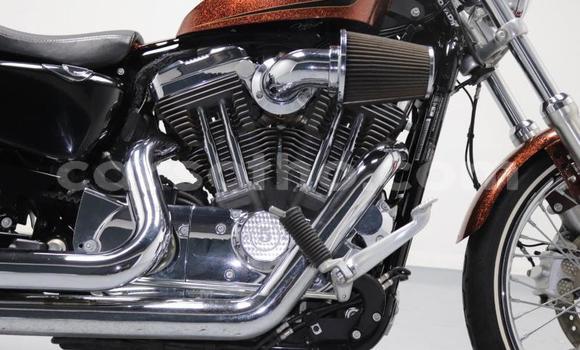 Buy Used Harley Davidson Sportster Brown Bike in Roma in Maseru Buy Used Harley Davidson Sportster Brown Bike in Roma in Maseru