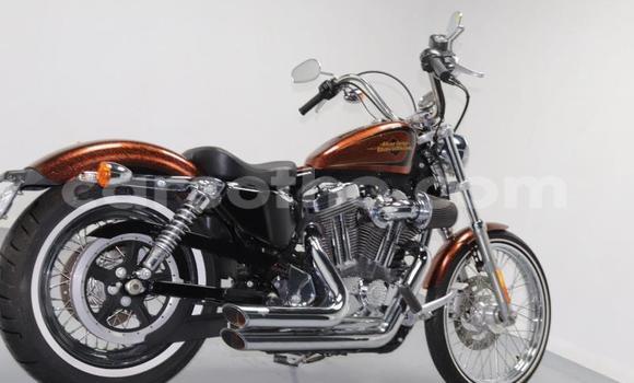 Buy Used Harley Davidson Sportster Brown Bike in Roma in Maseru Buy Used Harley Davidson Sportster Brown Bike in Roma in Maseru