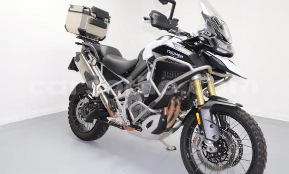 Buy Used Triumph Tiger White Bike in Quthing in Butha-Buthe