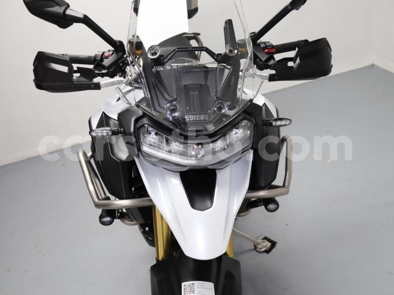 Big with watermark triumph tiger butha buthe quthing 31913